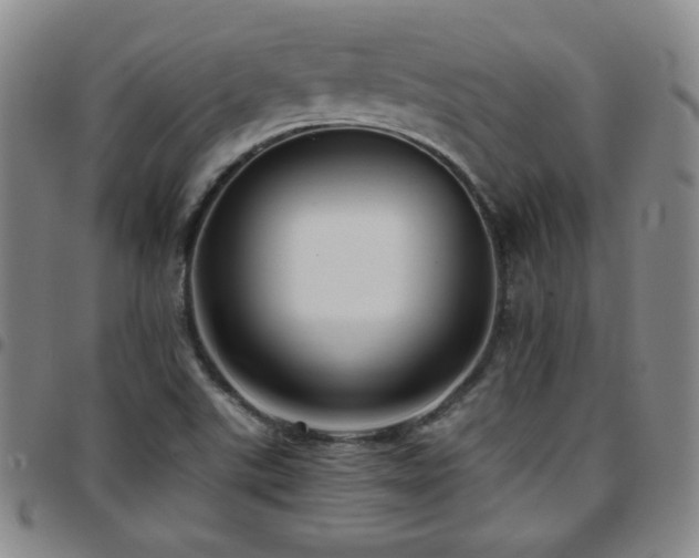 X0000097861507200803141227