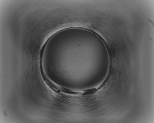X0000097861508200803141227