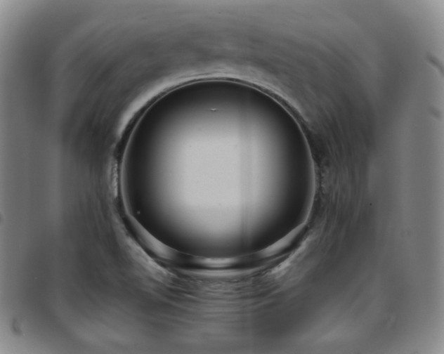 X0000097861510200803141227