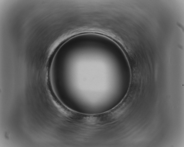 X0000097861511200803141227