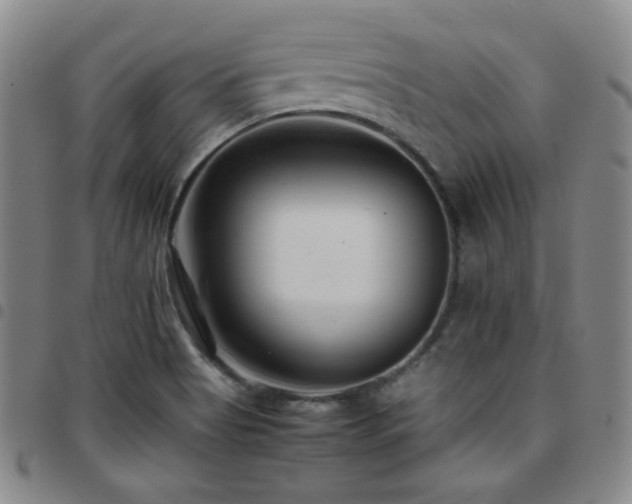 X0000097861513200803141227