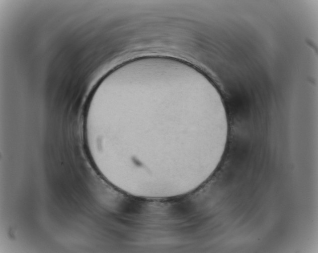 X0000097861514200803141227