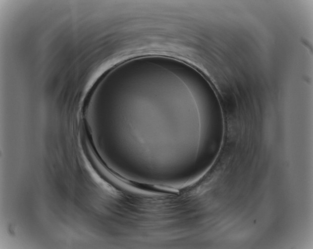 X0000097861515200803141227