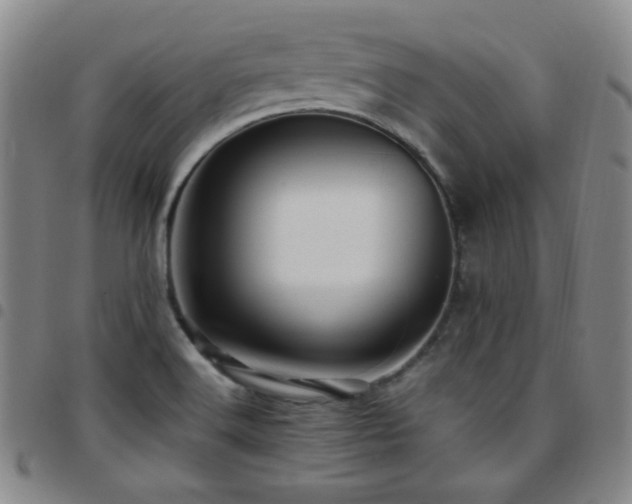 X0000097861516200803141227