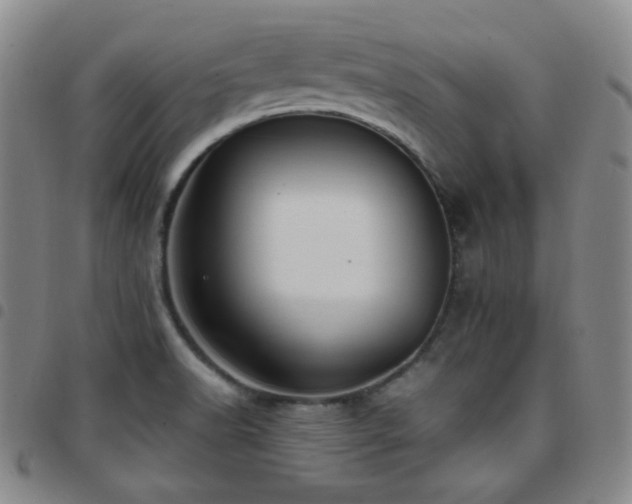 X0000097861518200803141227