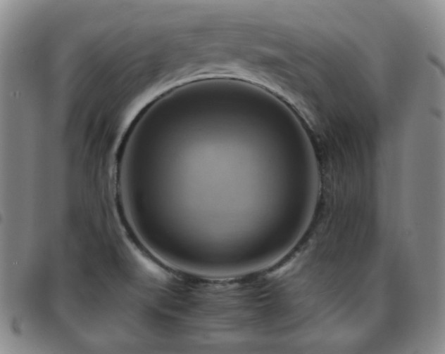 X0000097861519200803141227
