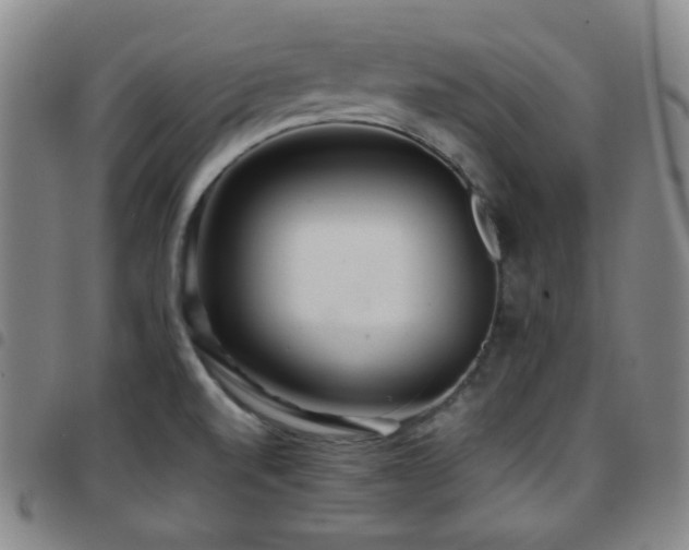 X0000097861520200803141227