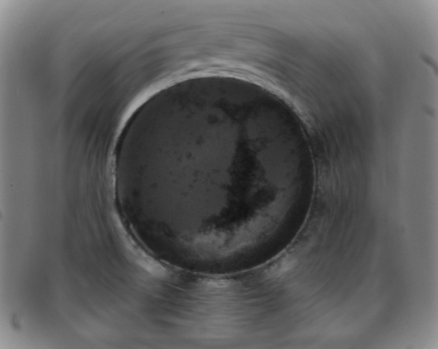 X0000097861522200803141227
