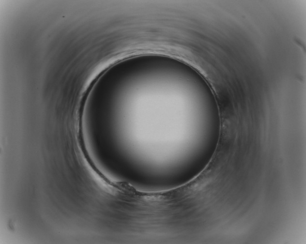 X0000097861523200803141227