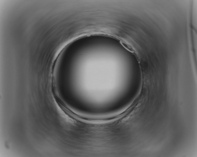 X0000097861524200803141227