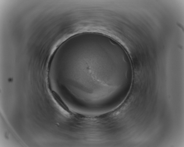X0000097861525200803141227