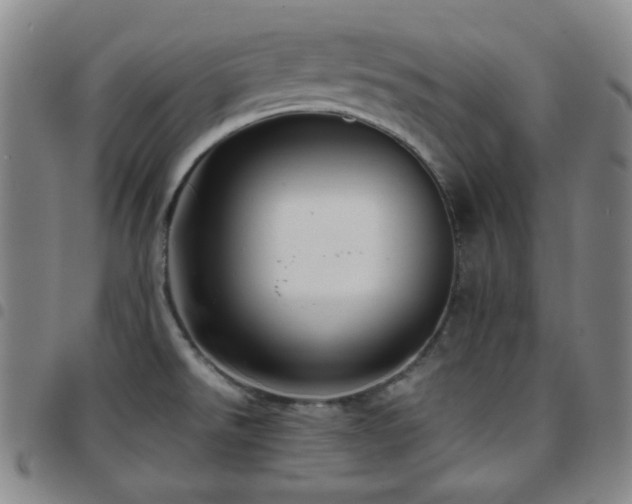 X0000097861526200803141227