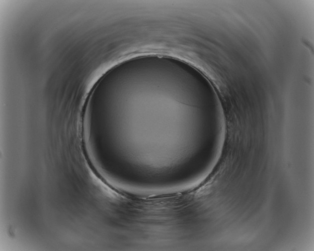 X0000097861527200803141227