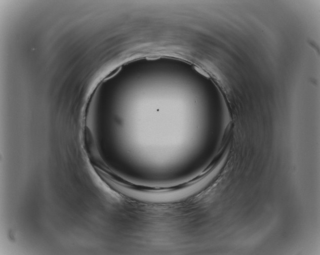 X0000097861528200803141227