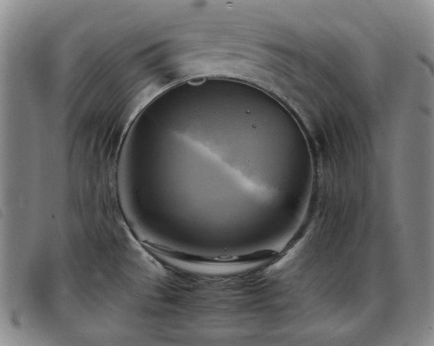 X0000097861529200803141227