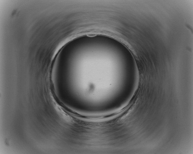 X0000097861530200803141227
