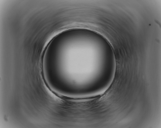 X0000097861531200803141227