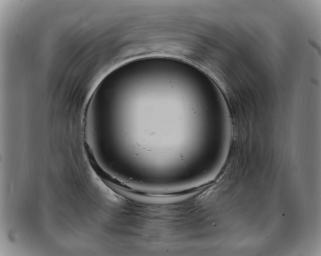 X0000097861532200803141228