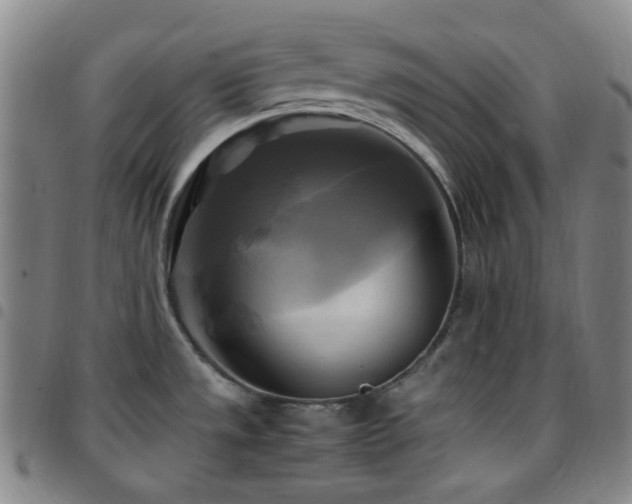 X0000097861533200803141228