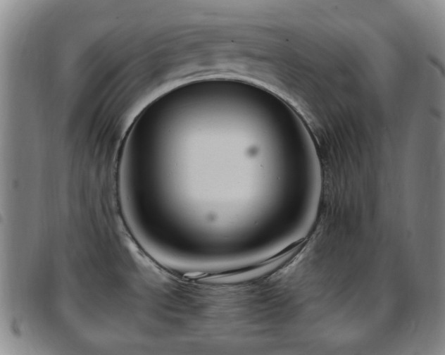 X0000097861534200803141228