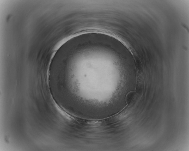 X0000097861535200803141228