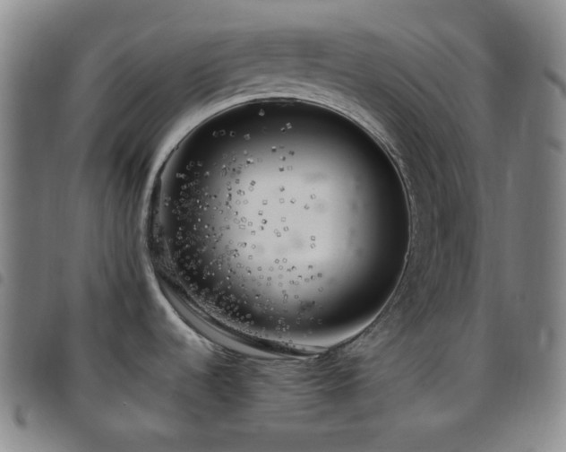 X0000097861536200803141228