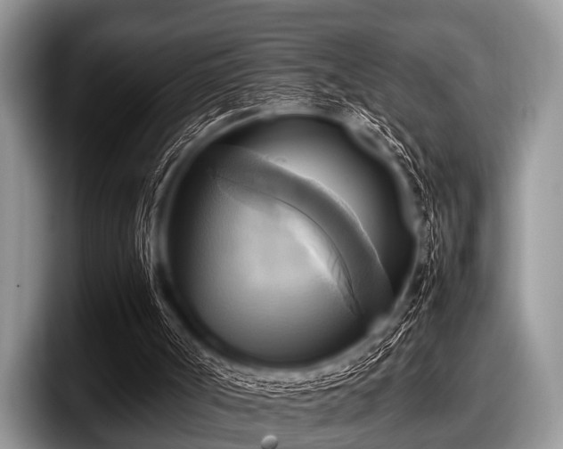 X0000097860002200803211303