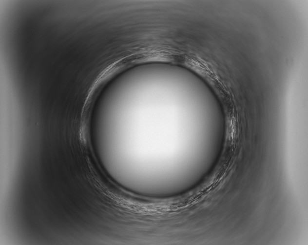 X0000097860004200803211303