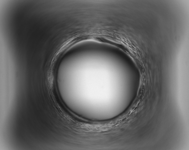 X0000097860005200803211303