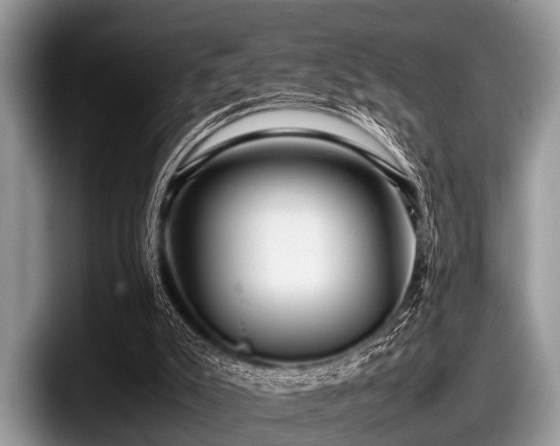 X0000097860007200803211303