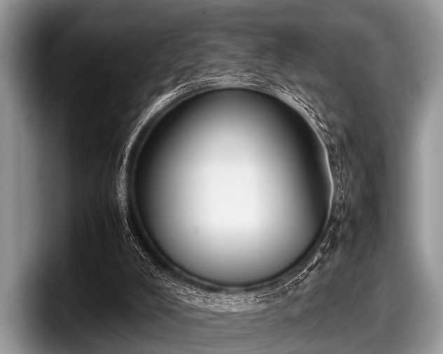 X0000097860008200803211303