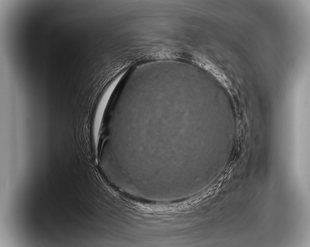 X0000097860009200803211303