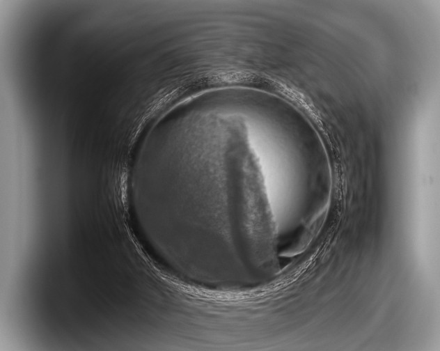 X0000097860010200803211303