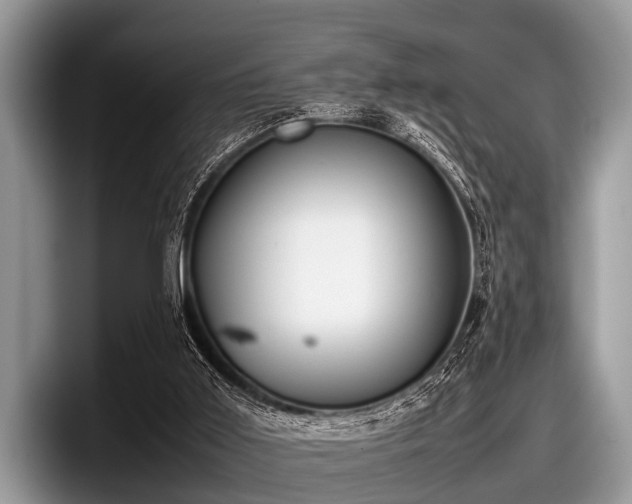 X0000097860011200803211303