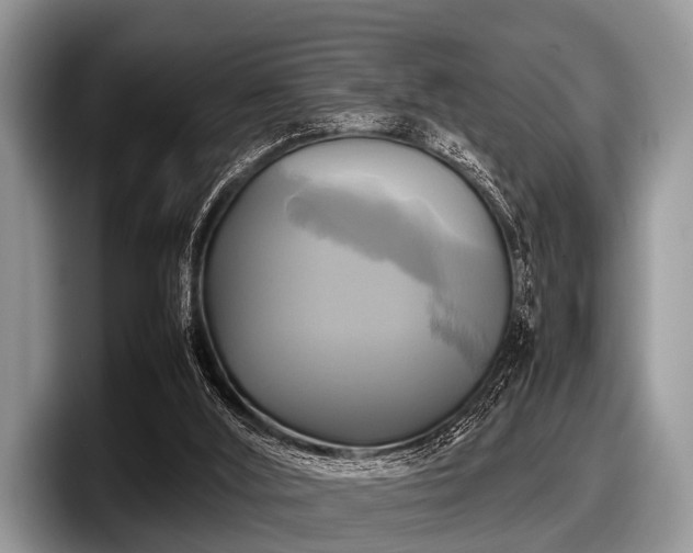 X0000097860012200803211303