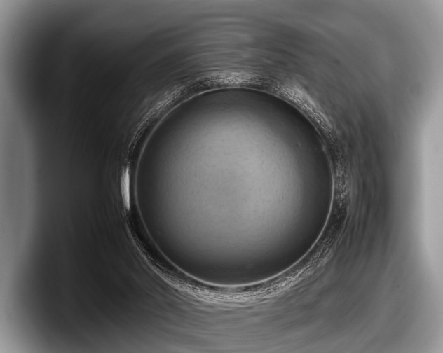 X0000097860014200803211303