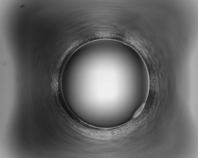 X0000097860015200803211303