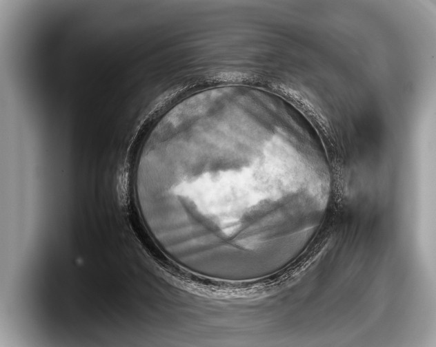 X0000097860016200803211303