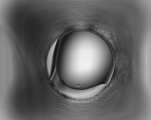 X0000097860017200803211303