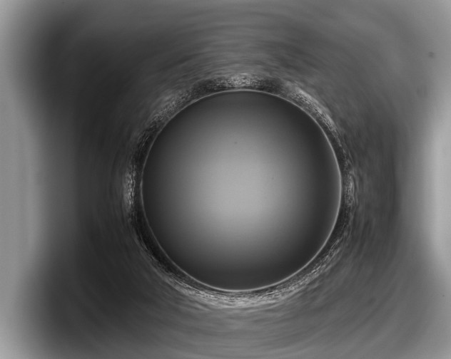 X0000097860018200803211303