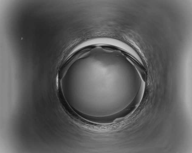 X0000097860019200803211303