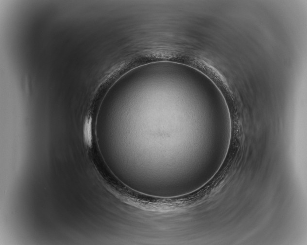 X0000097860020200803211303