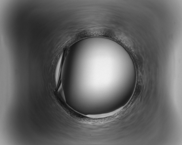 X0000097860021200803211303