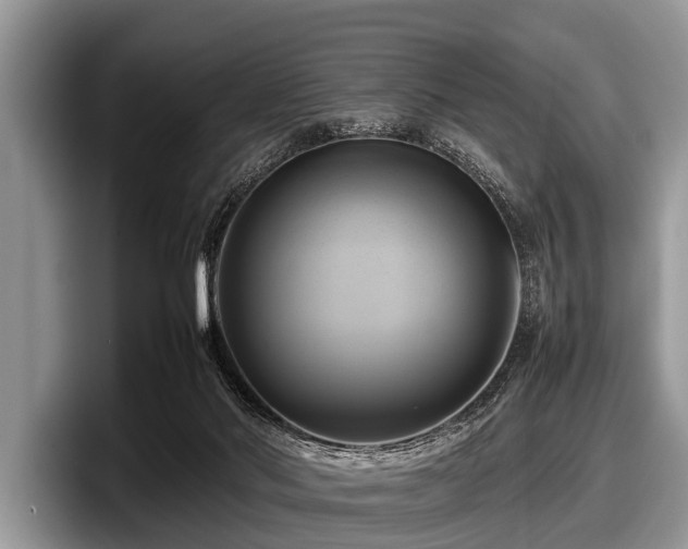 X0000097860022200803211303