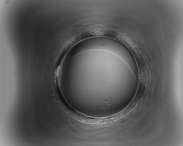 X0000097860023200803211303