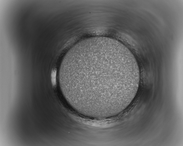 X0000097860024200803211303