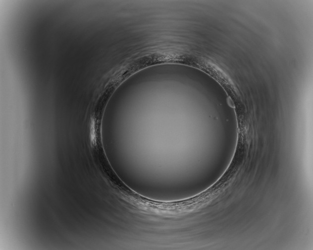 X0000097860026200803211303