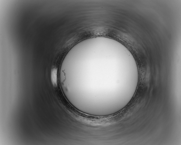 X0000097860028200803211303