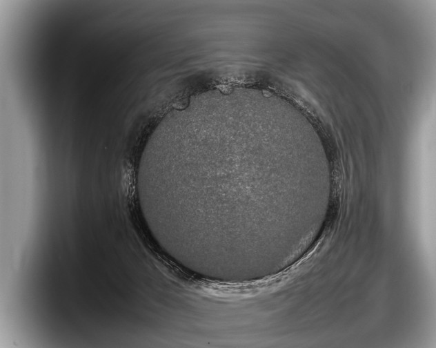 X0000097860029200803211303