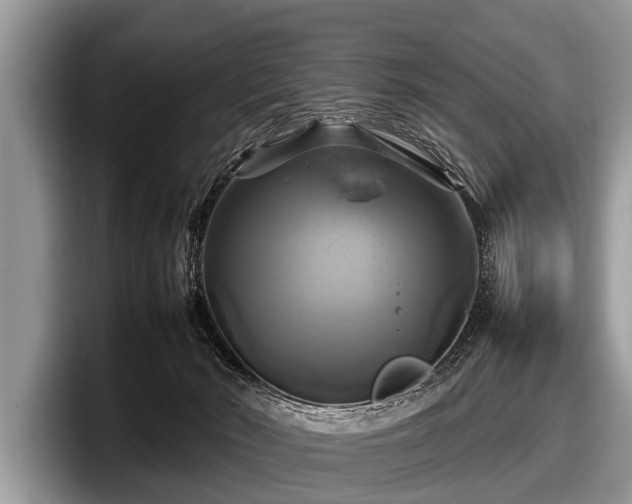 X0000097860030200803211303